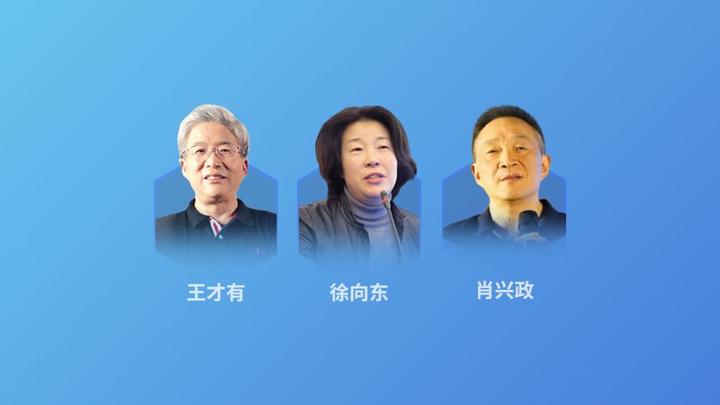 酵素排毒，选择有讲究：如何辨别肝肾排毒酵素品牌可靠性**